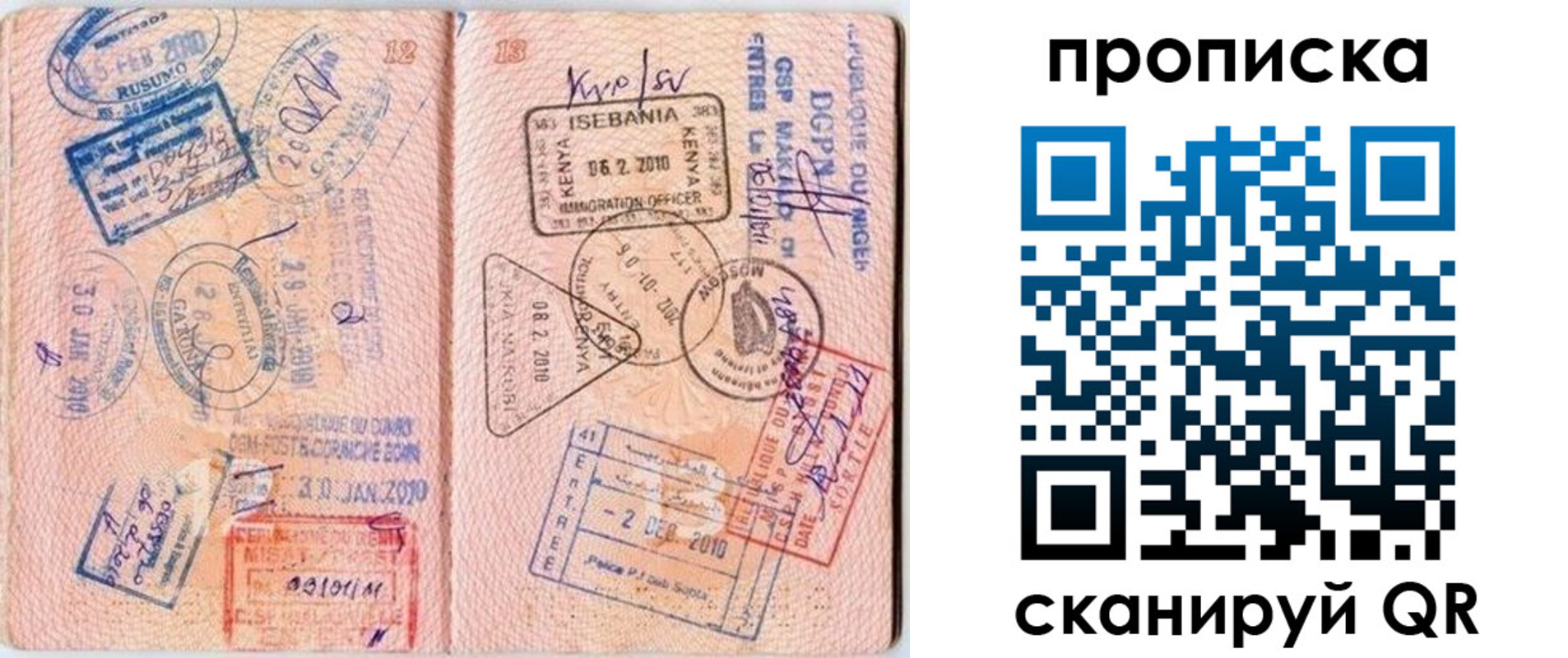 прописка для школы в Новгородской области